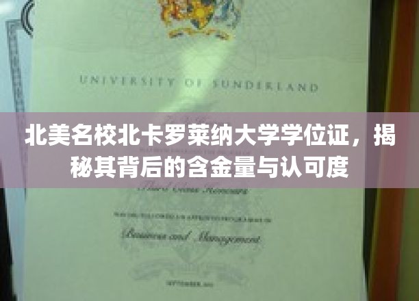 解锁北美精英学府——北卡罗莱纳大学学位证的黄金价值与全球认知