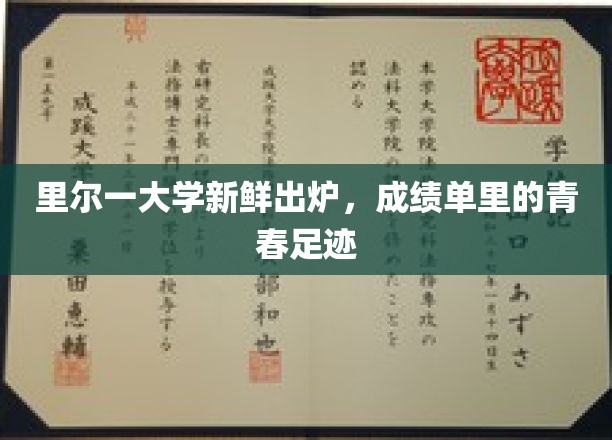 里尔大学青春足迹，一纸成绩单，记录成长瞬间