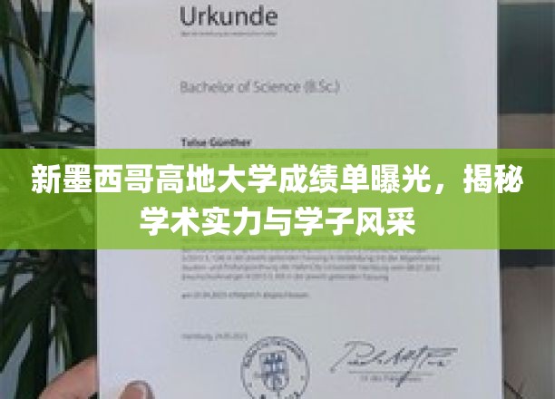 新墨西哥高地大学成绩单揭秘：学术实力与学子风采展现无遗