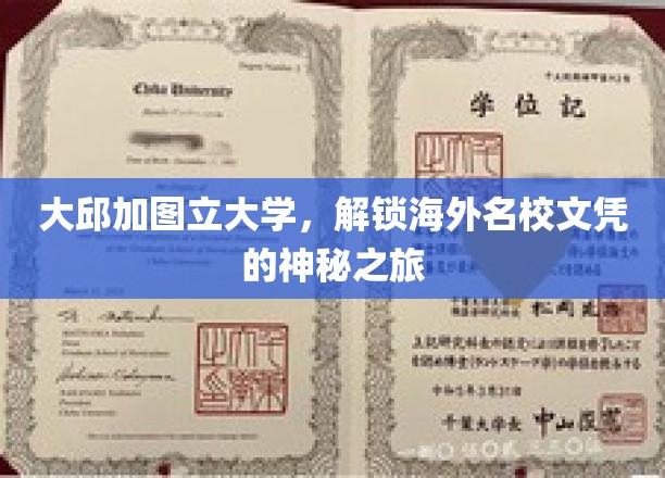 跨国学历之旅，大邱加图立大学带你探索海外名校文凭的秘密