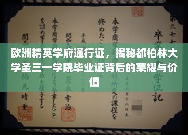 欧洲精英学府通行证，揭秘都柏林大学圣三一学院毕业证背后的荣耀与价值