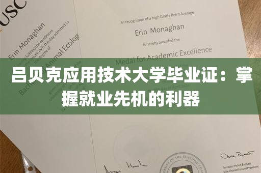 吕贝克应用技术大学毕业证：掌握就业先机的利器