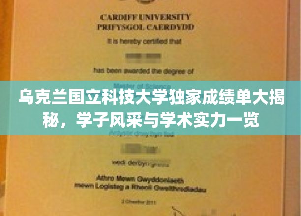 乌克兰国立科技大学精英学子，卓越成绩单背后的学术荣耀与风采展示