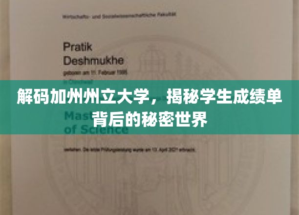 探寻加州州立大学，揭开学生成绩单的神秘面纱