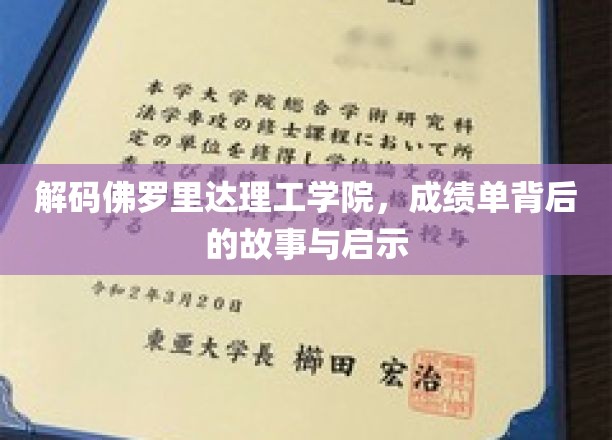 探寻佛罗里达理工学院，成绩单背后的秘密与人生启示