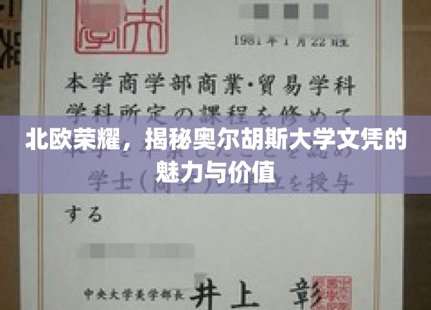 北欧荣耀，揭秘奥尔胡斯大学文凭的魅力与价值