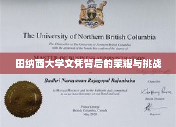 田纳西大学文凭背后的荣耀与挑战