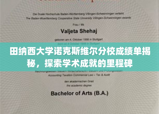 田纳西大学诺克斯维尔分校成绩单揭秘，探索学术成就的里程碑