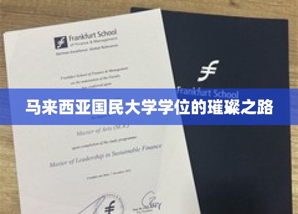 马来西亚国民大学学位的璀璨之路