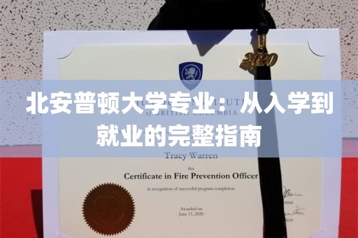 北安普顿大学专业：从入学到就业的完整指南