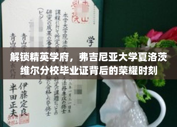 解码弗大荣耀，夏洛茨维尔分校毕业证背后的精英之路
