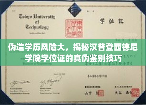 辨真伪，避风险，揭秘汉普登西德尼学院学位证的鉴定攻略