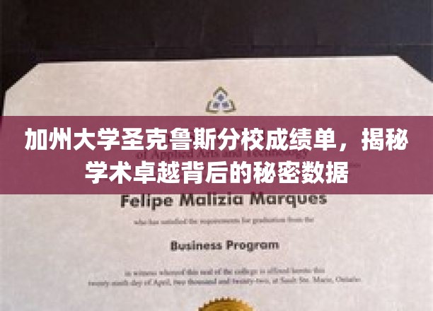 解码加州圣克鲁斯分校学术辉煌，揭秘成绩单背后的数据密码