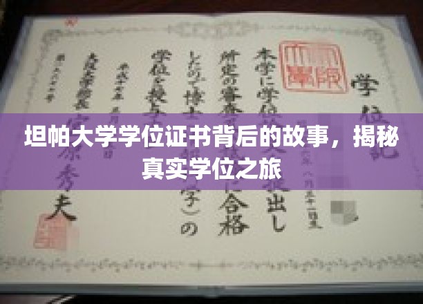 坦帕大学学位证书背后的故事，揭秘真实学位之旅