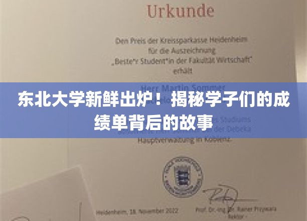 东北学子风采录，揭秘东北大学成绩单背后的成长轨迹
