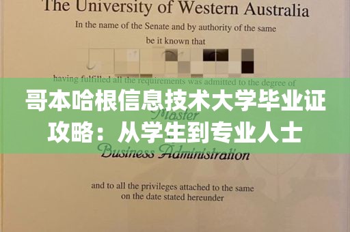 哥本哈根信息技术大学毕业证攻略：从学生到专业人士