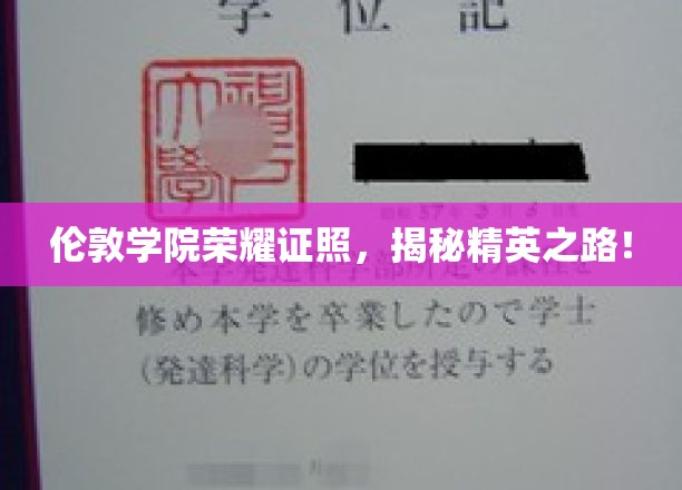 伦敦学院荣耀证书，开启精英之路！