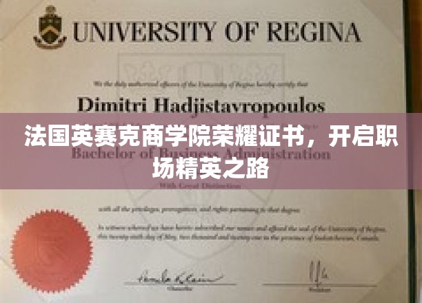 职场新贵启航，法国英赛克商学院证书助力精英梦想成真