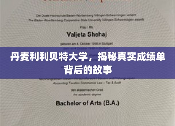 丹麦利利贝特大学，揭秘真实成绩单背后的故事