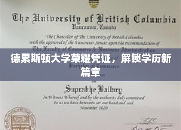 德累斯顿大学成就见证，开启学术新里程的荣耀通行证