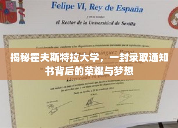 揭秘霍夫斯特拉大学，一封录取通知书背后的荣耀与梦想