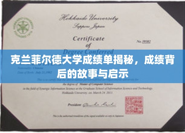 克兰菲尔德大学成绩单揭秘，探寻成绩背后的故事与启示