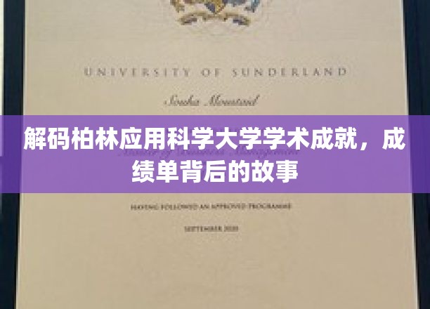 解码柏林应用科学大学学术成就，成绩单背后的故事