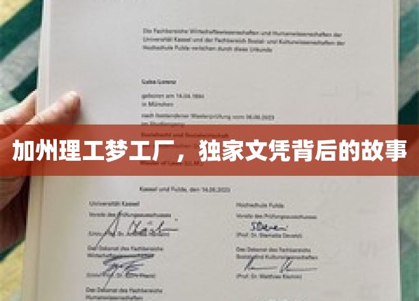 加州理工梦工厂，独家文凭背后的故事