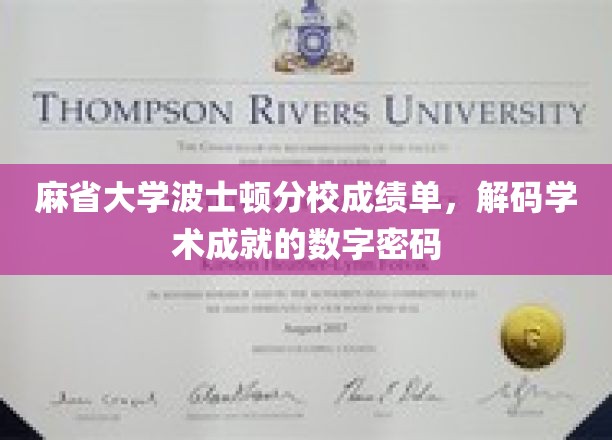 解码麻省大学波士顿分校成绩单，揭秘学术成就的数字奥秘