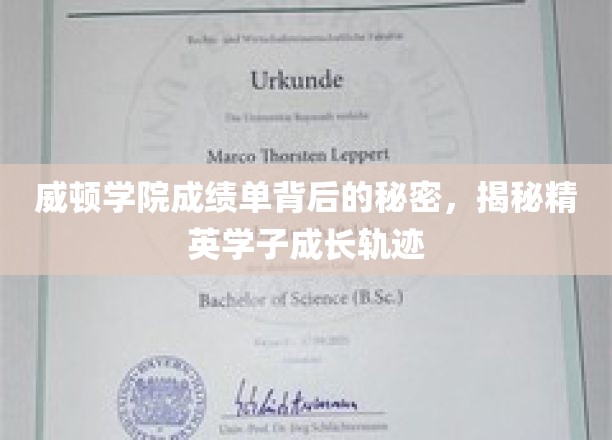 揭开威顿学院精英学子成绩单背后的非凡成长之路