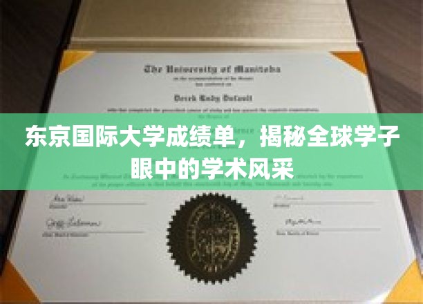 东京国际大学风采录，全球学子眼中的卓越学术之旅