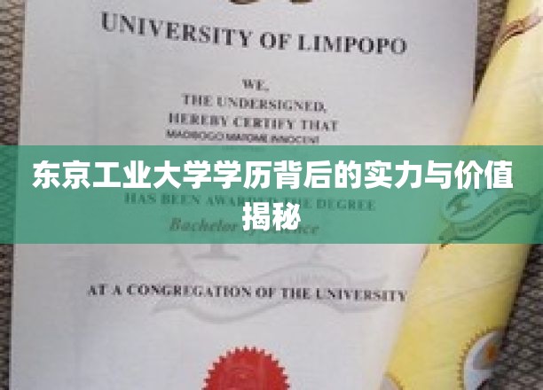 解码东京工业大学学历，揭秘其背后的非凡实力与珍贵价值