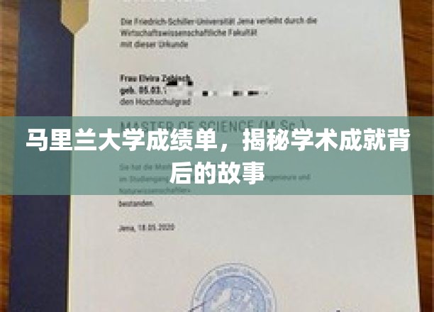 马里兰大学成绩单，揭秘学术成就背后的故事