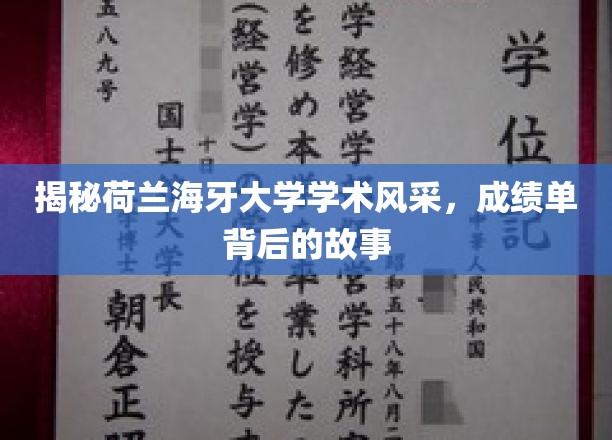 深度解读荷兰莱顿大学学术风采，探寻成绩单背后的故事