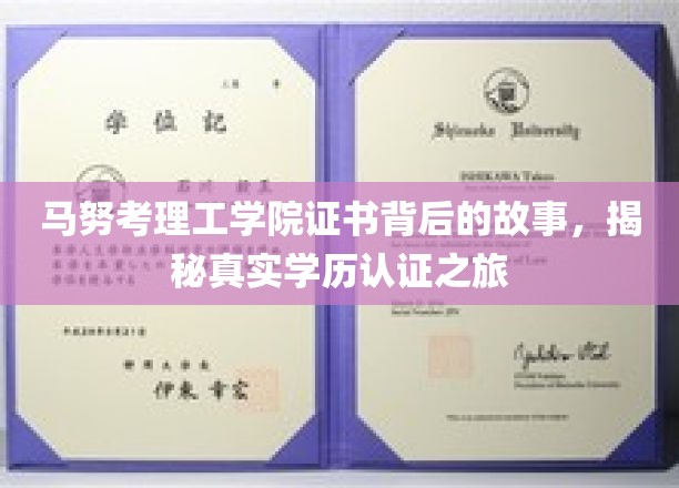 揭开马努考理工学院证书之谜，揭秘学历认证的传奇旅程