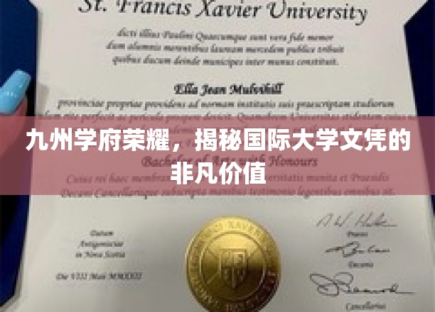 跨洋桥梁，国际大学文凭在九州学府的璀璨光芒