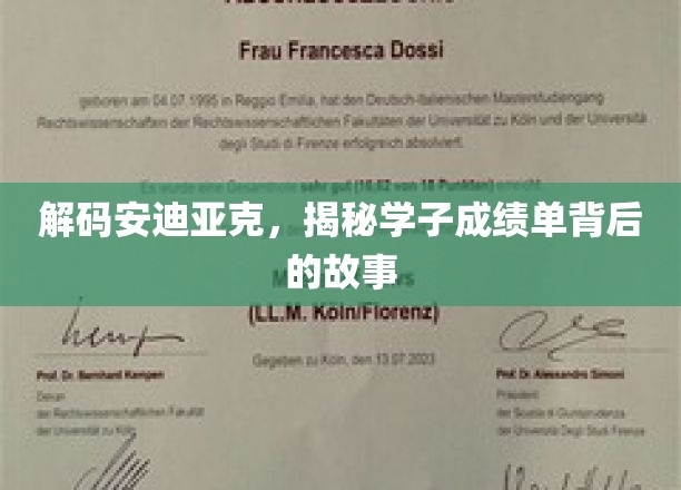 解码安迪亚克，揭秘学子成绩单背后的故事
