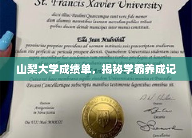 山梨大学成绩单，揭秘学霸养成记