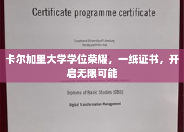 卡尔加里大学学位荣耀，一纸证书，开启无限可能