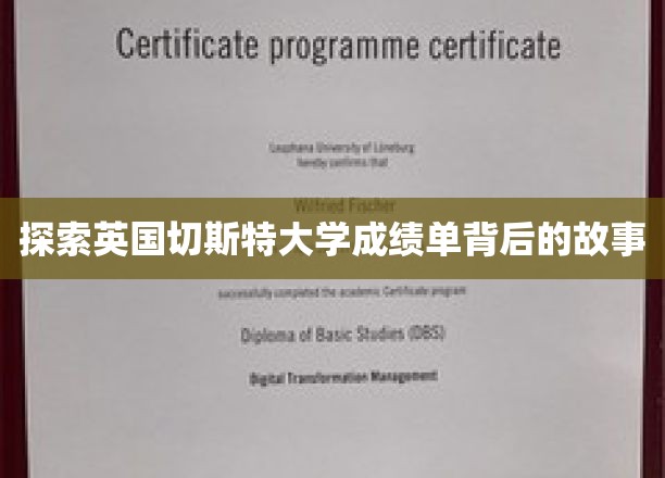 揭开切斯特大学成绩单的神秘面纱，揭秘学术成就背后的故事