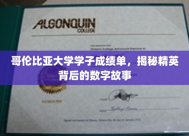 哥伦比亚大学学子成绩单，揭秘精英背后的数字故事