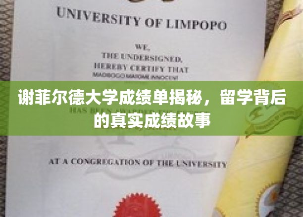 留学成绩单背后的谢菲尔德大学真相，揭秘真实成绩背后的故事