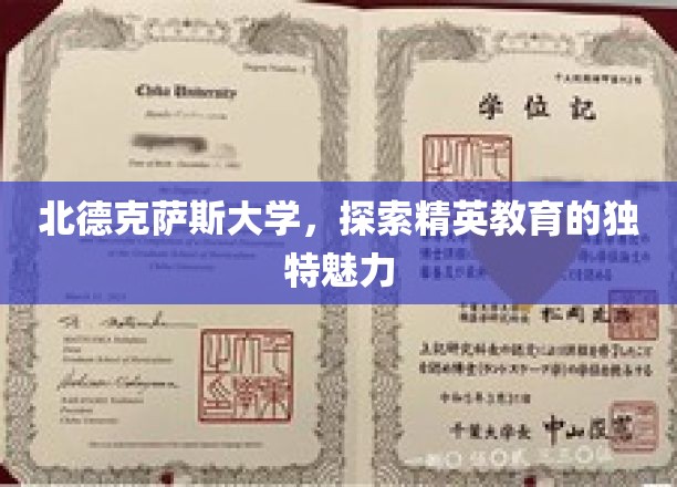 解码北德克萨斯精英教育的非凡魅力