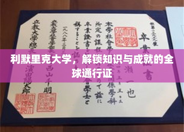利默里克大学，解锁知识与成就的全球通行证