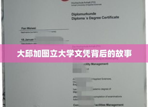 大邱加图立大学文凭背后的故事