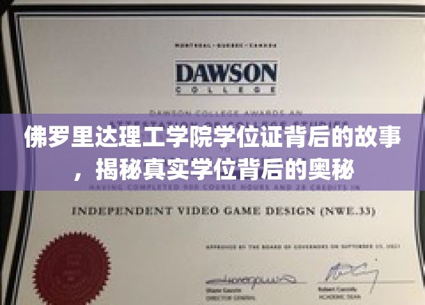 佛罗里达理工学院学位证探秘，揭开学历认证的神秘面纱