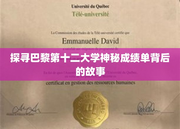 揭开巴黎第十二大学神秘成绩单的神秘面纱