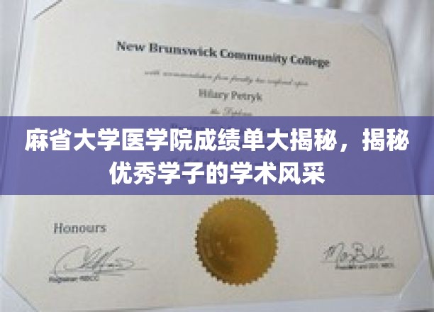 麻省大学医学院学霸风采大曝光，揭秘顶尖学术精英的卓越之路