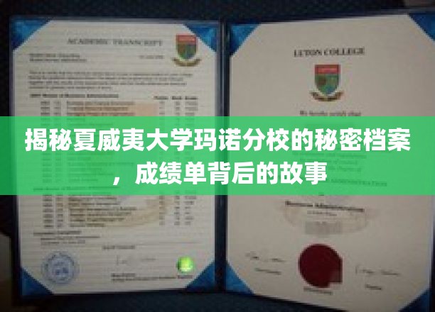 揭秘夏威夷大学玛诺分校的秘密档案，成绩单背后的故事