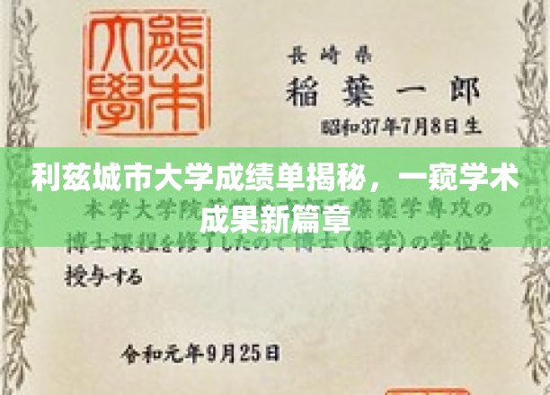 解码利兹城市大学成绩单，探索学术成就新里程